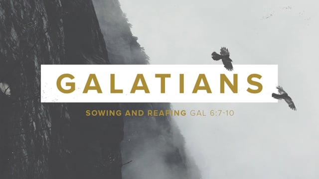 galatians-sowing-and-reaping.jpg