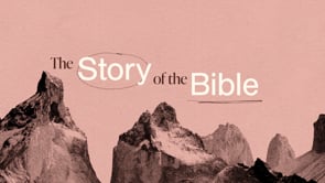 the-story-of-the-bible-how-we-got-our-bible.jpg